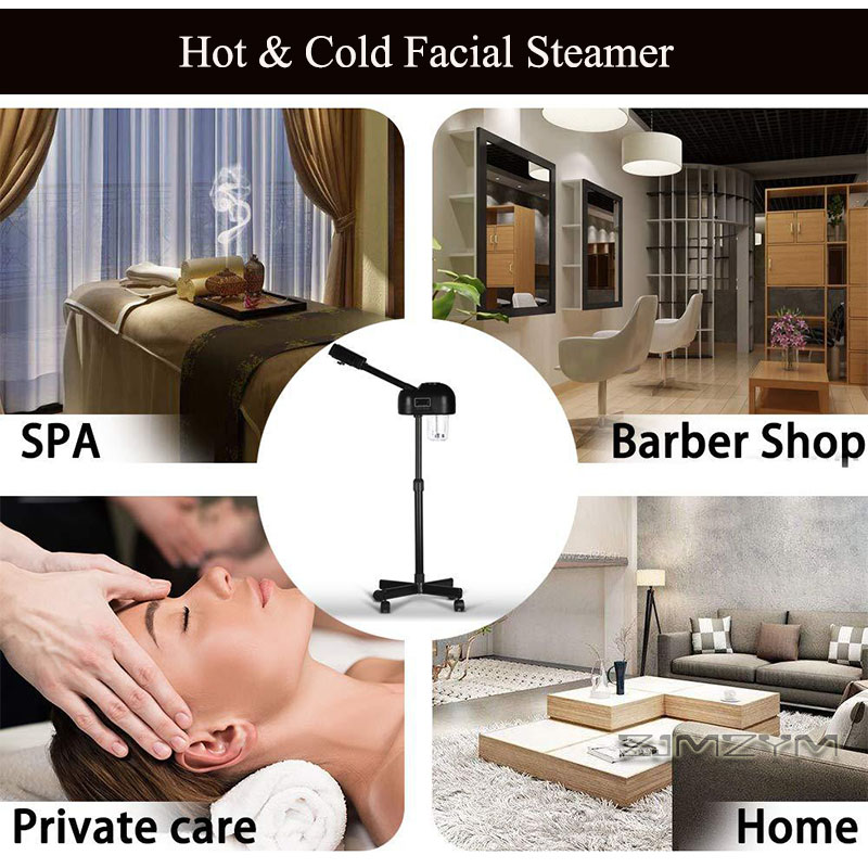 プロフェッショナル ホット＆コールド フェイシャルスチーマー - Face Steamer のレビューと価格